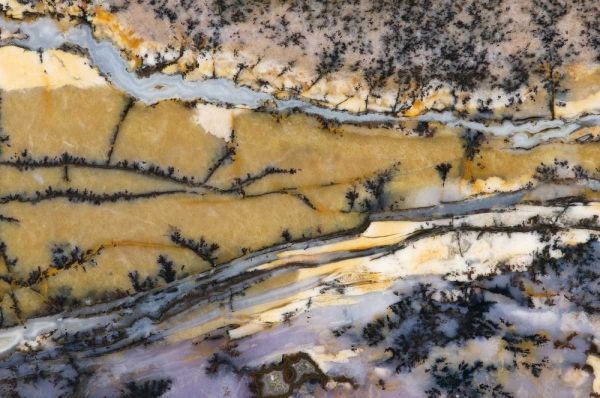 USA, Nevada Close-up of amethyst sage agate